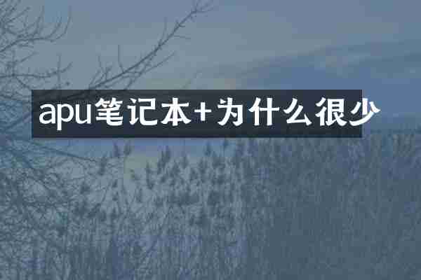 apu笔记本+为什么很少