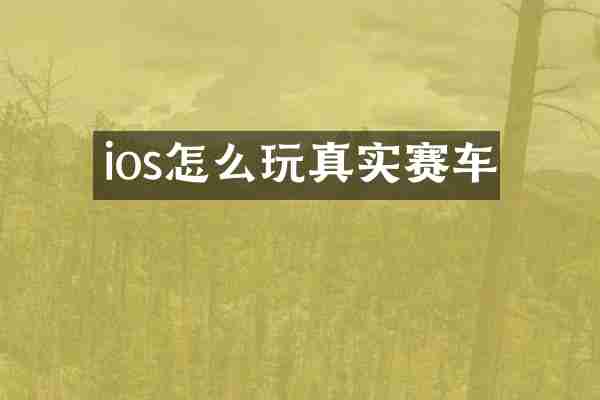ios怎么玩真实赛车