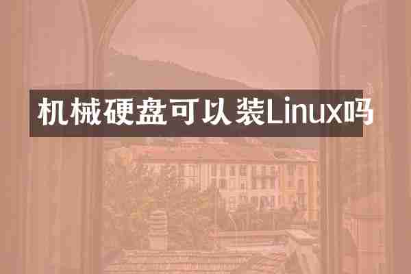 机械硬盘可以装Linux吗