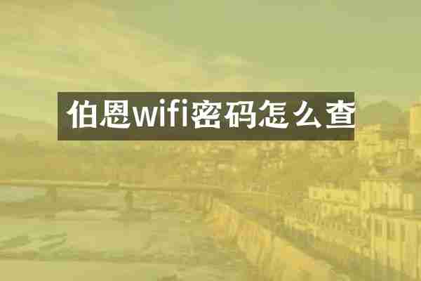 伯恩wifi密码怎么查