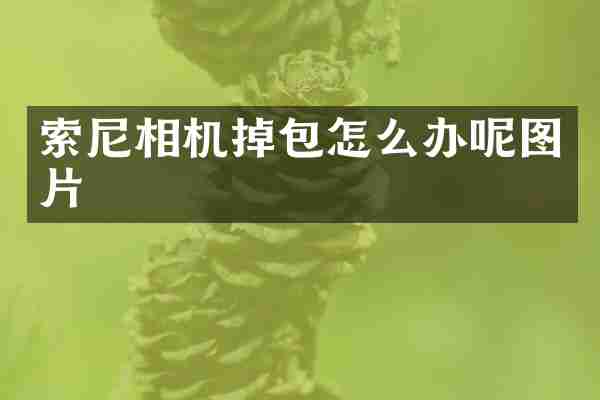 相机掉包怎么办呢图片