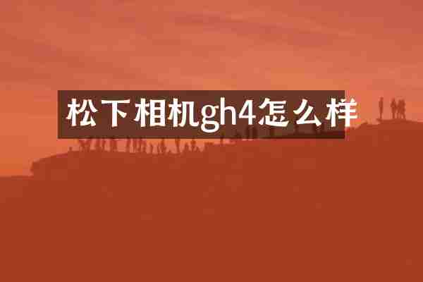 相机gh4怎么样
