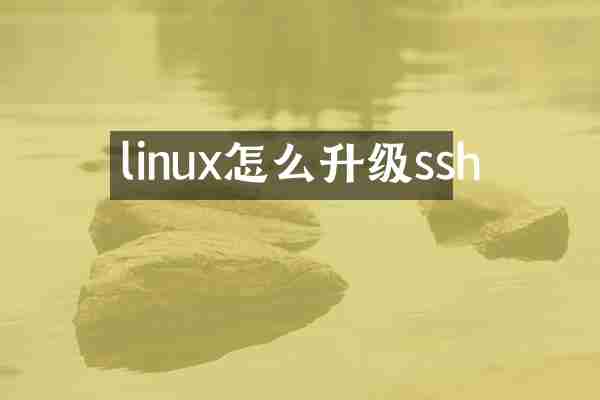 linux怎么升级ssh
