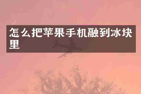 怎么把苹果手机融到冰块里