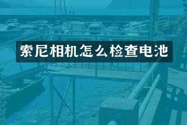 相机怎么检查电池