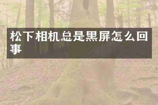 相机总是黑屏怎么回事