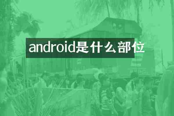 android是什么部位
