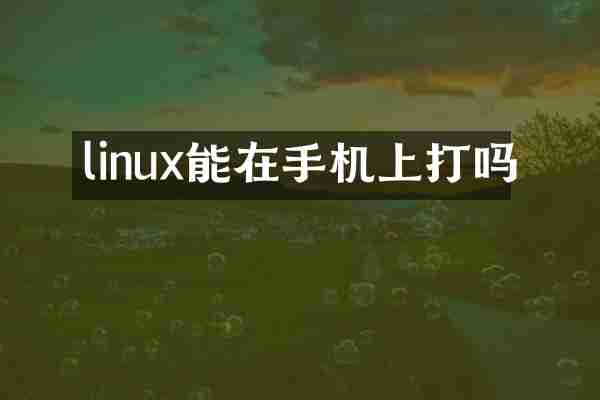 linux能在手机上打吗