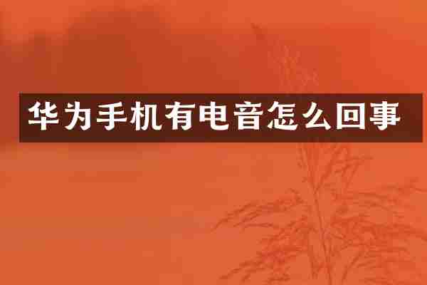 华为手机有电音怎么回事
