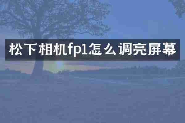 相机fp1怎么调亮屏幕