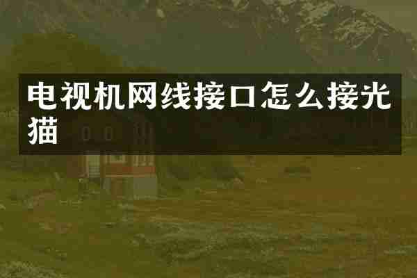 电视机网线接口怎么接光猫
