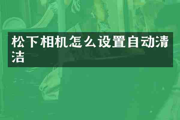 相机怎么设置自动清洁