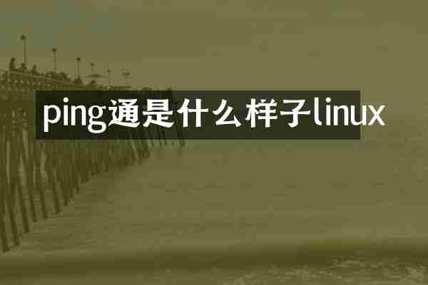 ping通是什么样子linux