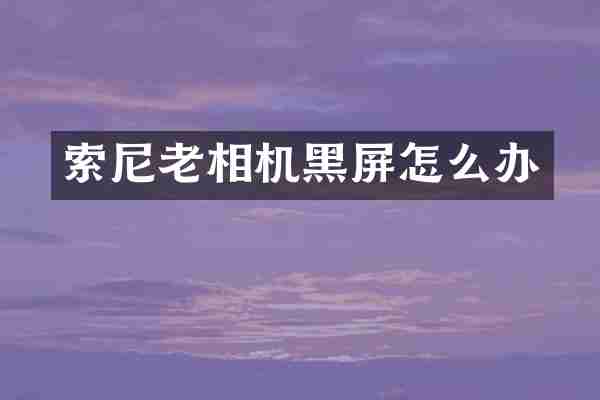老相机黑屏怎么办