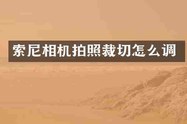 相机拍照裁切怎么调