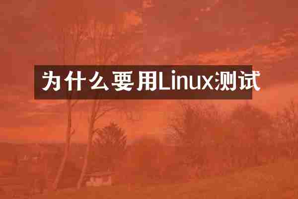 为什么要用Linux测试