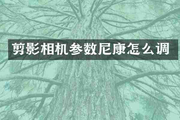 剪影相机参数尼康怎么调