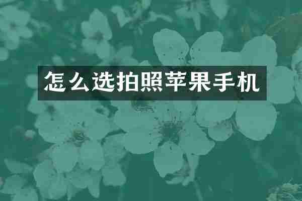 怎么选拍照苹果手机