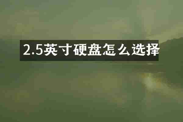 2.5英寸硬盘怎么选择