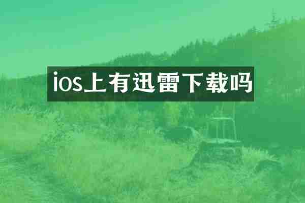 ios上有迅雷下载吗