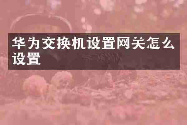 华为交换机设置网关怎么设置