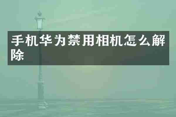 手机华为禁用相机怎么解除