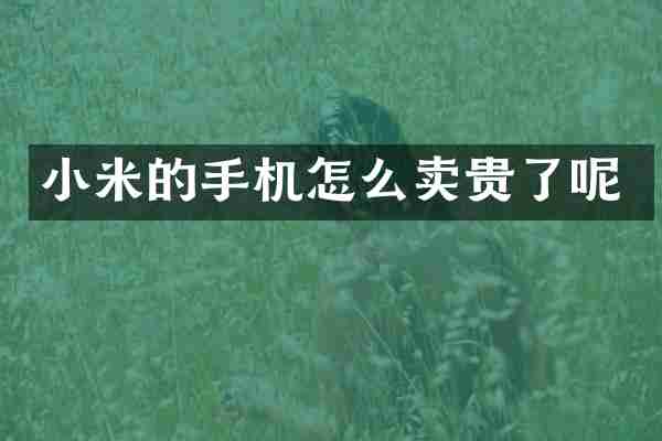 小米的手机怎么卖贵了呢