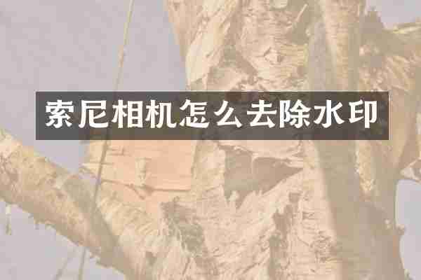 相机怎么去除水印