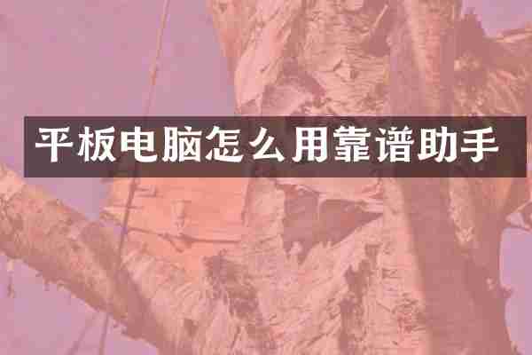 平板电脑怎么用靠谱助手