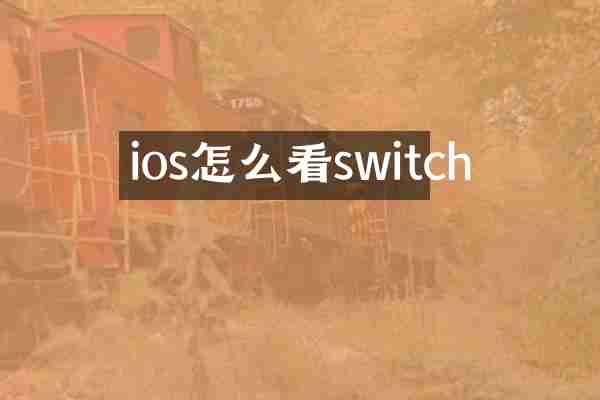 ios怎么看switch