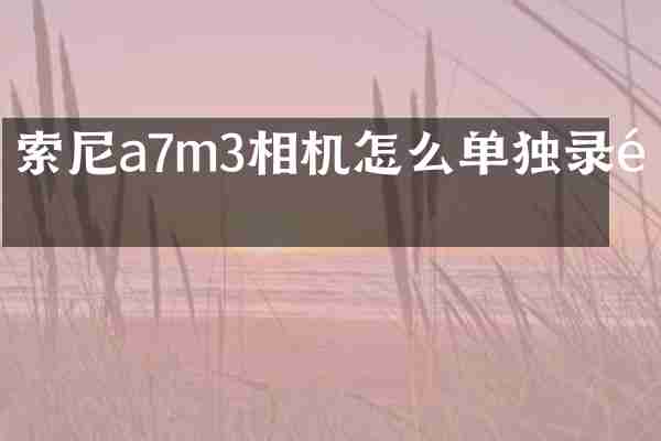 a7m3相机怎么单独录音