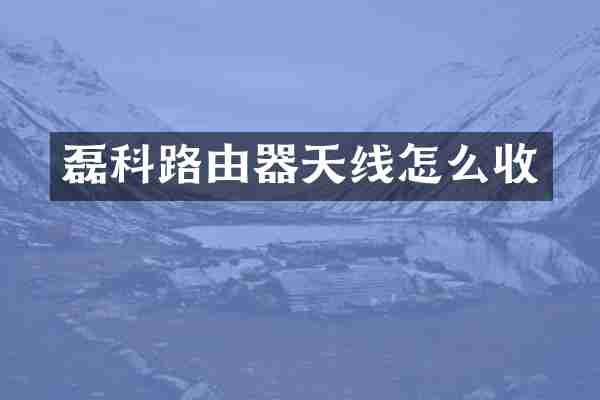 磊科路由器天线怎么收