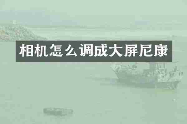 相机怎么调成大屏尼康