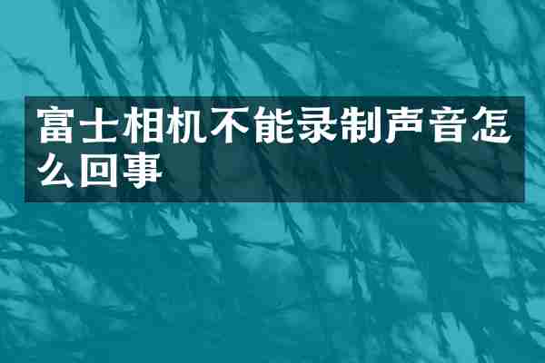 富士相机不能录制声音怎么回事