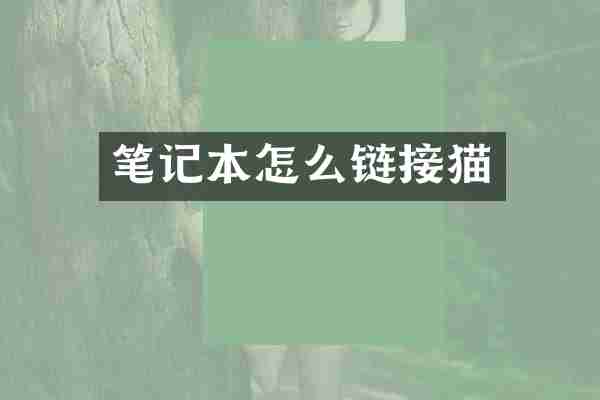 笔记本怎么链接猫