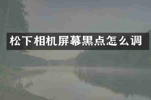 相机屏幕黑点怎么调