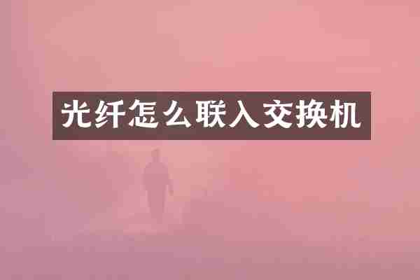 光纤怎么联入交换机