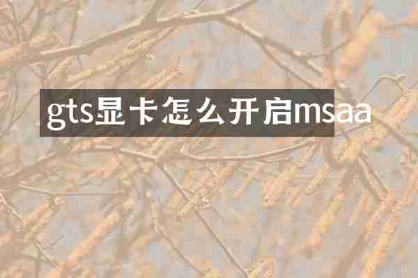 gts显卡怎么开启msaa