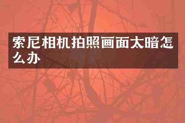 相机拍照画面太暗怎么办