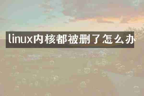 linux内核都被删了怎么办