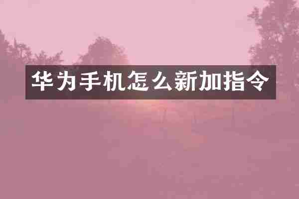 华为手机怎么新加指令