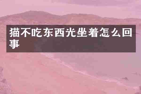 猫不吃东西光坐着怎么回事