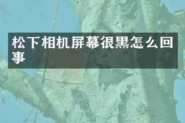 相机屏幕很黑怎么回事