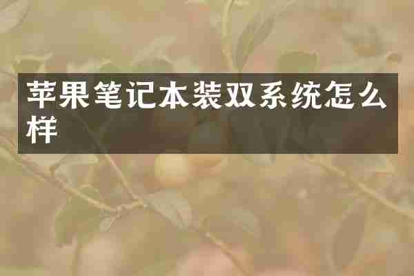 苹果笔记本装双系统怎么样