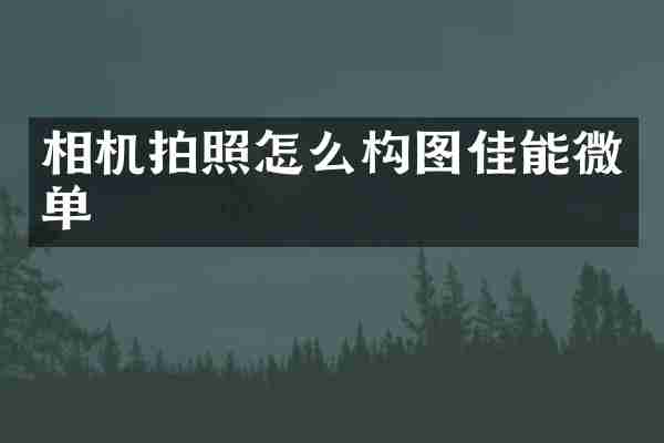 相机拍照怎么构图佳能微单