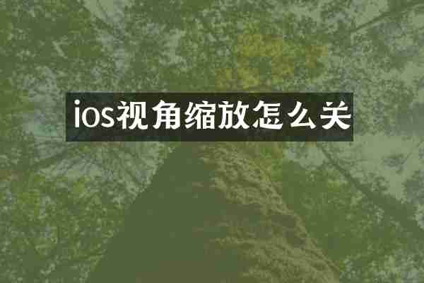 ios视角缩放怎么关