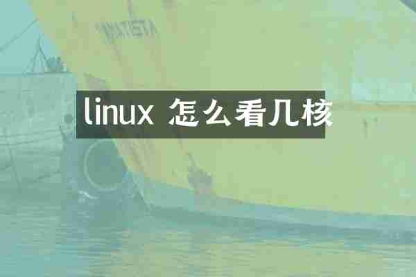 linux 怎么看几核