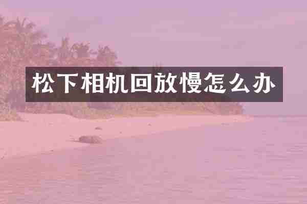 相机回放慢怎么办