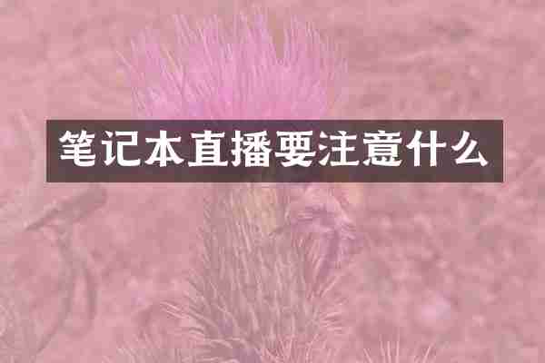 笔记本直播要注意什么