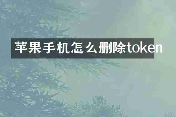 苹果手机怎么删除token